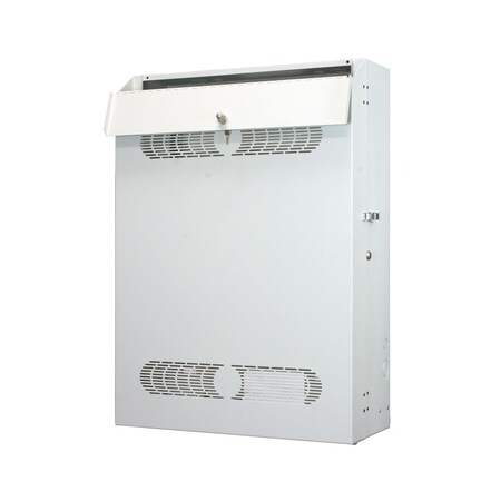 Lowell Remote Cabinet 4U6U 36D RCCD-4636